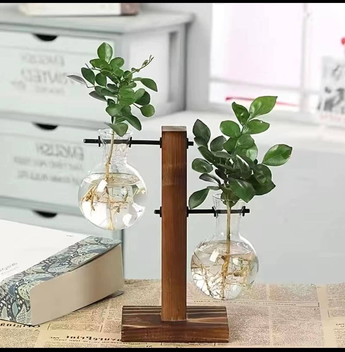 Hydroponic Planter, Flower Pot, Mini Plant: Style C - HER Home Design Boutique